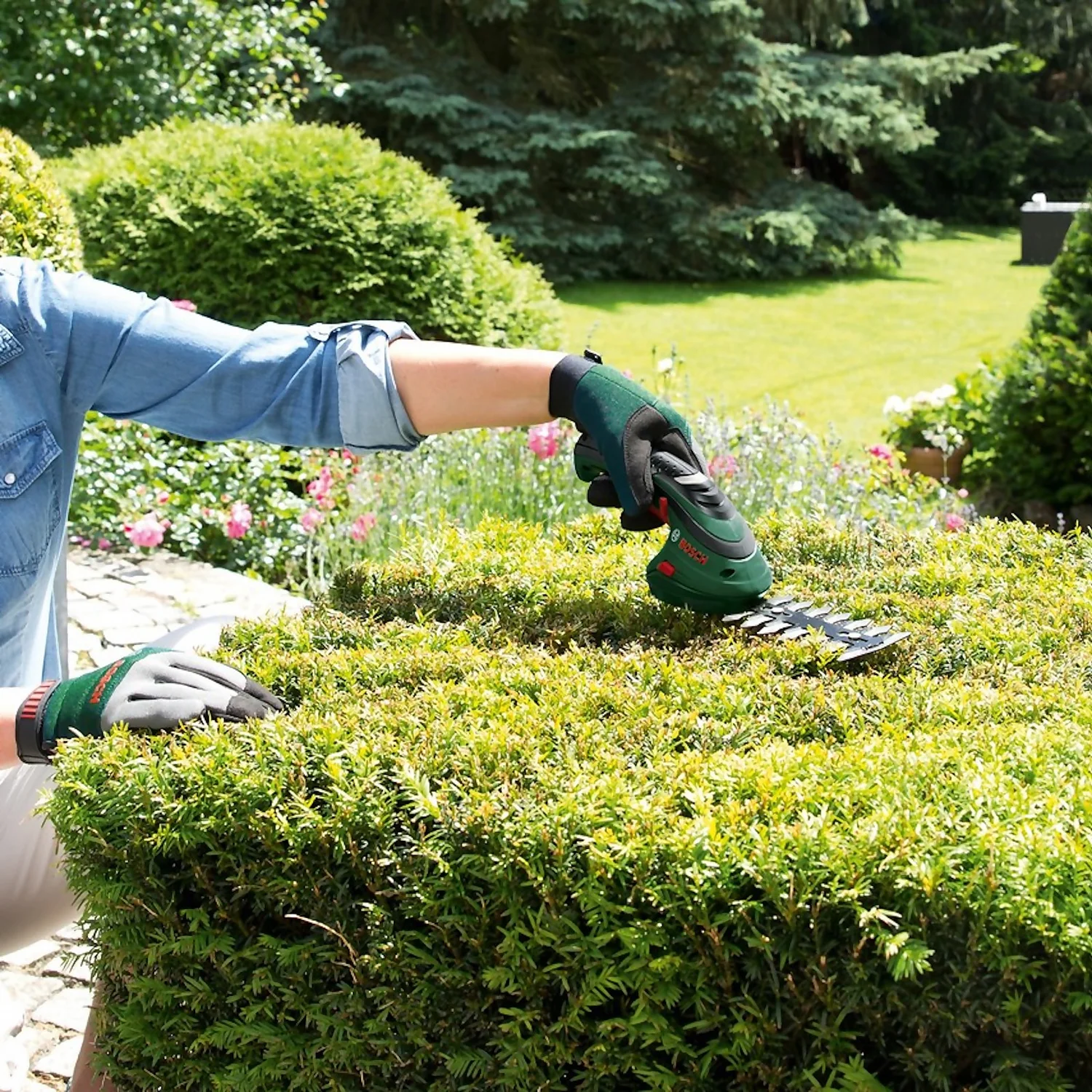 Bosch Isio III Cordless Shrub Shear 7 Bosch Isio III Cordless Shrub Shear - Image 7