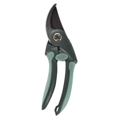 Homebase Bypass Pruner