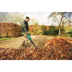 Bosch ALB 18 Li Cordless Garden Blower -Garden Tool Sale Store 12885389 8914843941828771