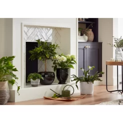 Hampton Moon Ceramic Pot - 14cm 5 Hampton Moon Ceramic Pot - 14cm -Garden Tool Sale Store 12890772 6174948242795534