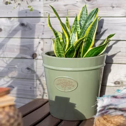 Country Living Heritage Sage Cone Pot - 41cm -Garden Tool Sale Store 13188757 4084933183259961