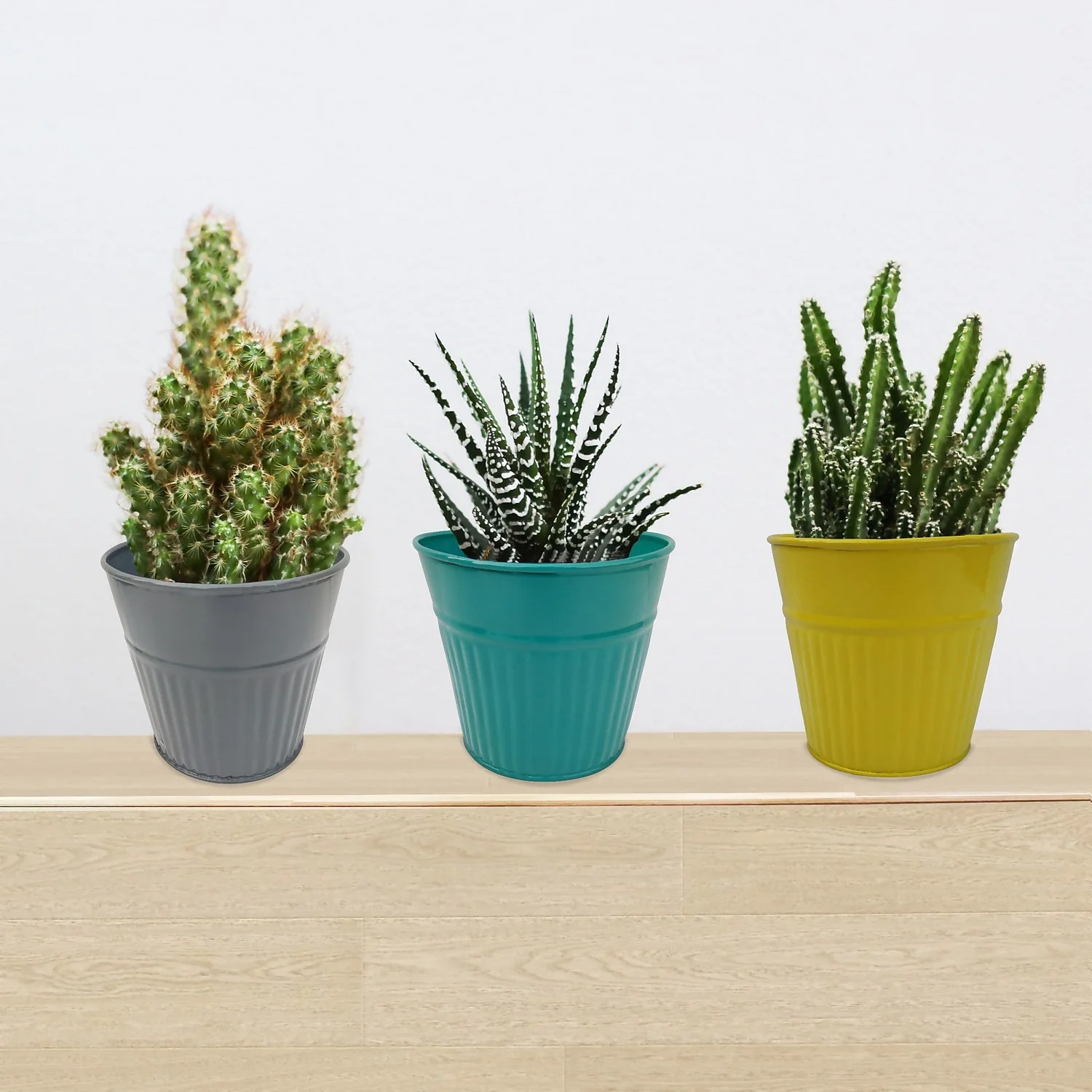Ribbed Planter (3 Colour Mix) - 12cm 2 Ribbed Planter (3 Colour Mix) - 12cm - Image 2