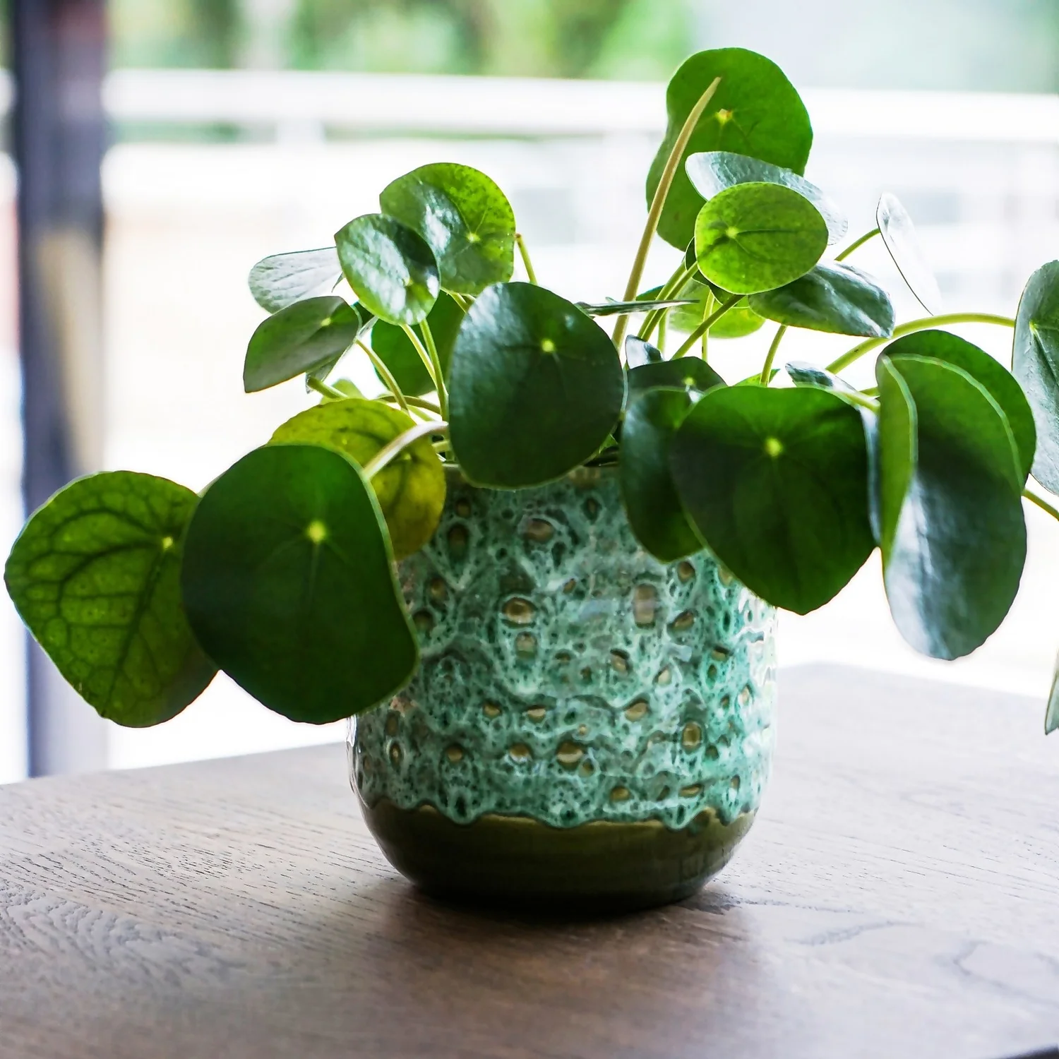 House Beautiful Emerald Glaze Planter 16cm 2 House Beautiful Emerald Glaze Planter 16cm - Image 2