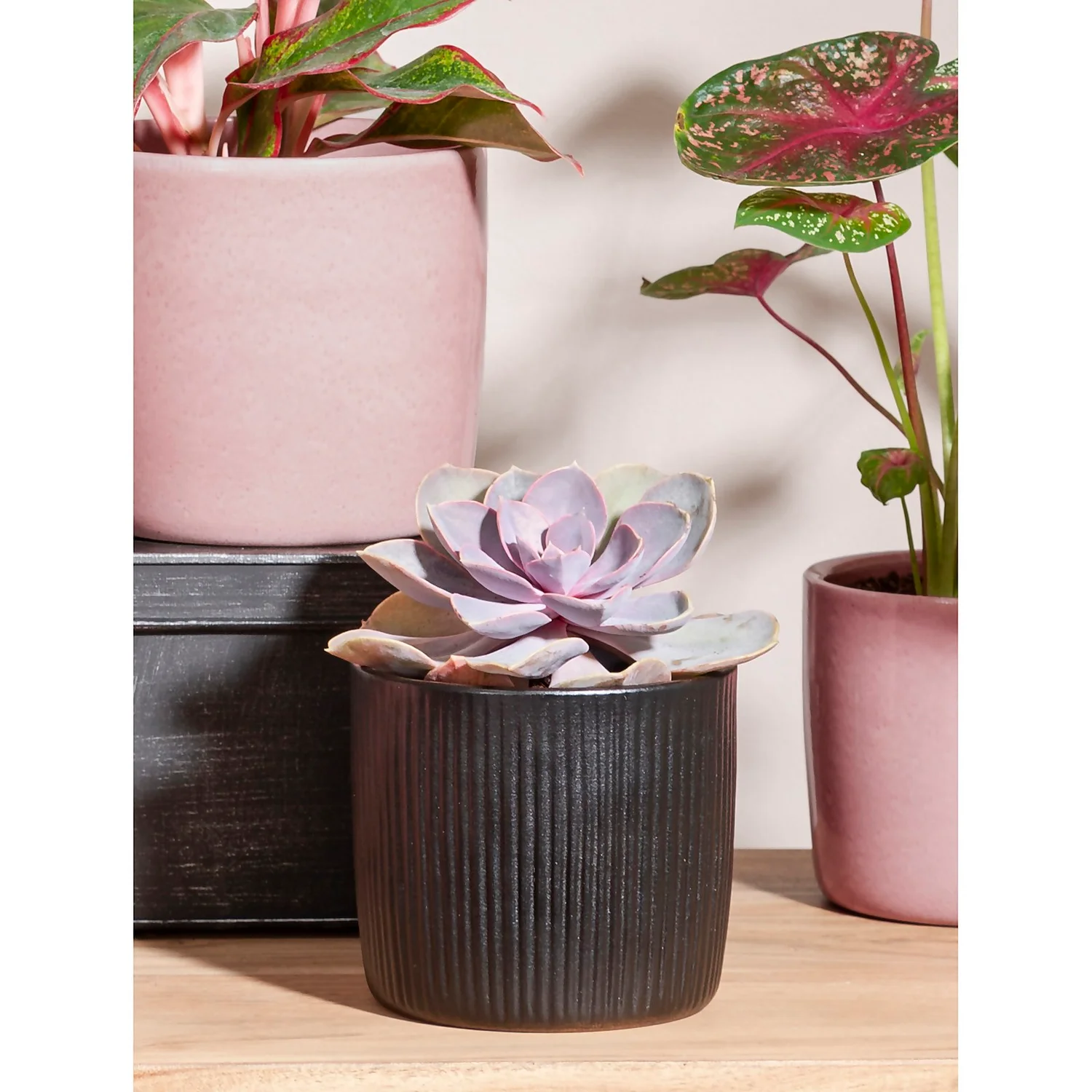 Black Ebano Plant Pot - 13cm 2 Black Ebano Plant Pot - 13cm - Image 2