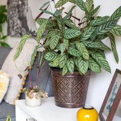 Vintage Allium Patterned Cone Pot - 37cm -Garden Tool Sale Store 13973621 6475011239983391