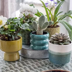 Crackle Leaf Indoor Plant Pot - 12cm -Garden Tool Sale Store 14197410 1395024191595766